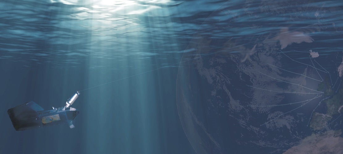 Plankton could hold key for understanding link between ocean pollution and human health