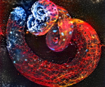 Insights into the role of the germline in de novo mutation