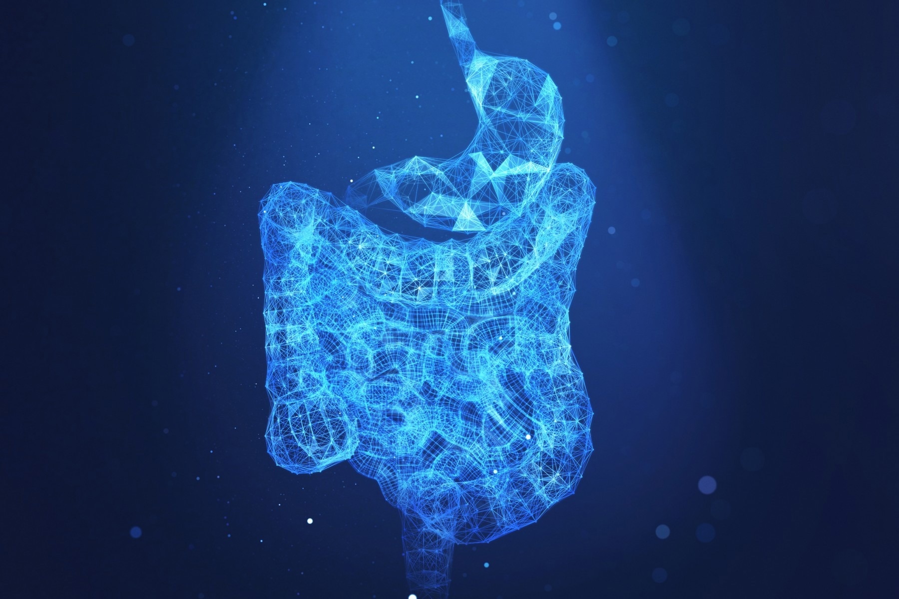 Grasping how a biological pathway causes stem cells to regenerate or die