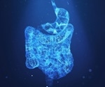 Grasping how a biological pathway causes stem cells to regenerate or die