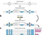 New toolkit enables researchers to map an individual’s RNA data to a much richer reference