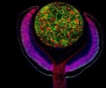 Blending multiple maps uncover new genetic causes of blindness