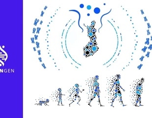Benefits of Finnish health research environment for genomic research