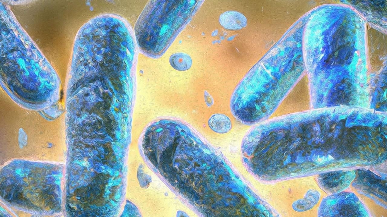 Utilizing ‘cyborg cells’ in environment protection and medicine