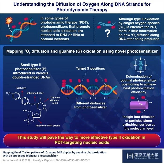 Revealing the propagation of singlet oxygen along double stranded DNA