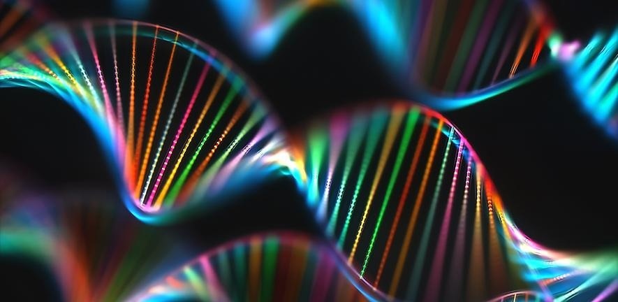Unboxing the mystery genome black box with the DNA sequencing method