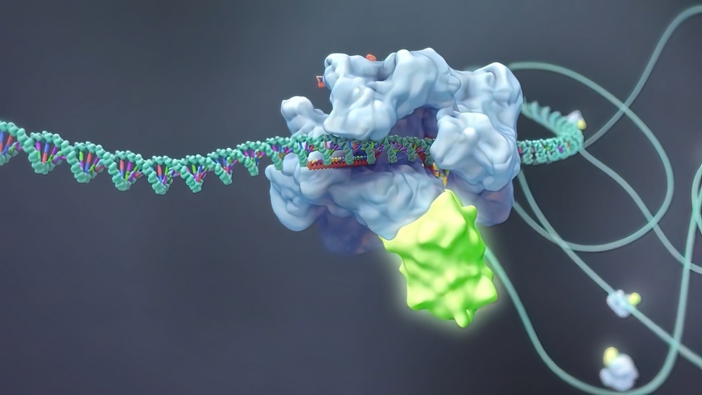 Functional Genomics Concept