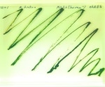 Smallest known freshwater green algae, Medakamo hakoo, discovered