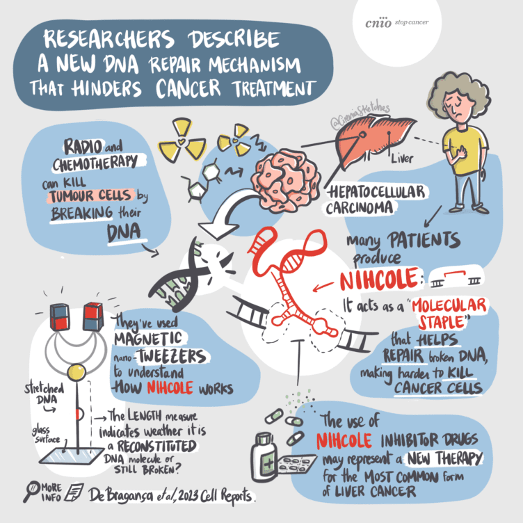 Molecular staple: The DNA repair mechanism impeding cancer treatment