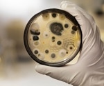 Clinically approved fungal vaccine protects against fungal infections