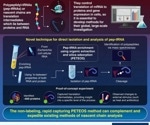 Learning about cellular proteins through “snapshots” of translation