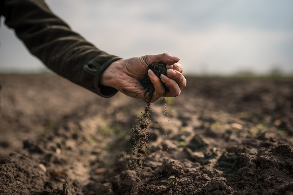 Soil
