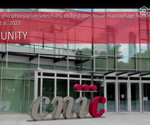 Macrophages as new therapeutic target to address obesity-related diseases