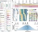 “Reference Epigenome” and regulatory mechanisms in wheat embryogenesis