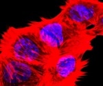 Innovative cancer therapy options with new cell death mechanism