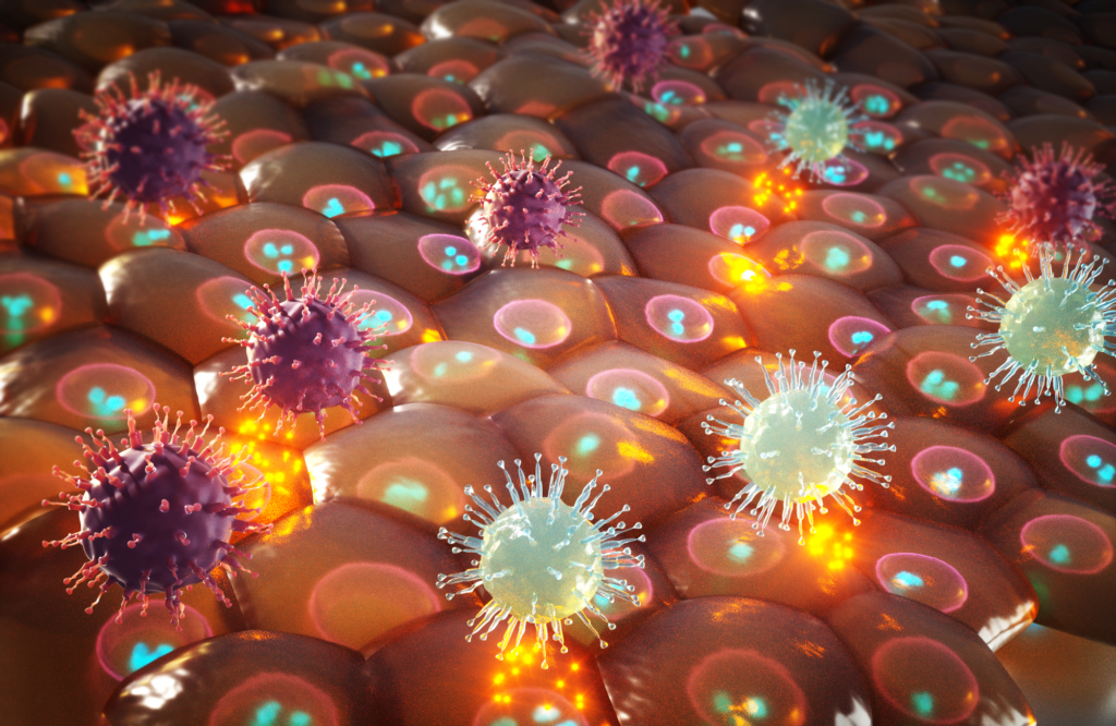 Protein that facilitates cancer-causing viruses dodge the immune system