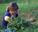 Epigenetic editing to improve crops