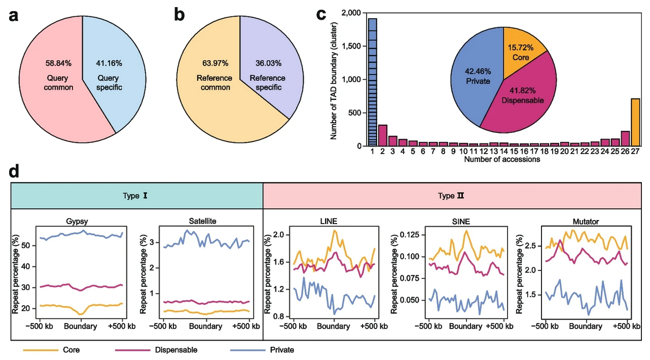 A soybean genome in pan-3D