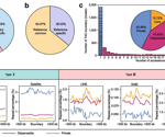 A soybean genome in pan-3D