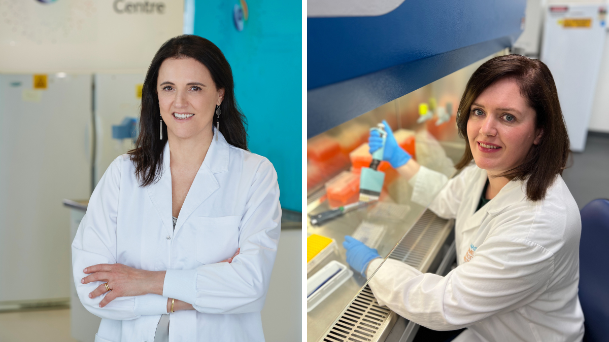 Tissue inflammation altered by “natural killer” immune cells
