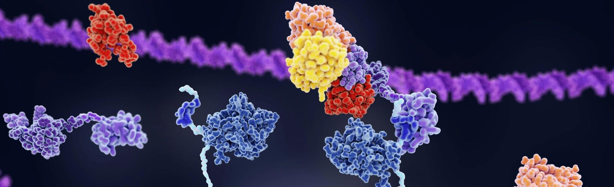 A treatment strategy to hasten cancer cell death