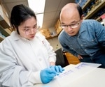 3D structure of a major protein complex in cilia revealed