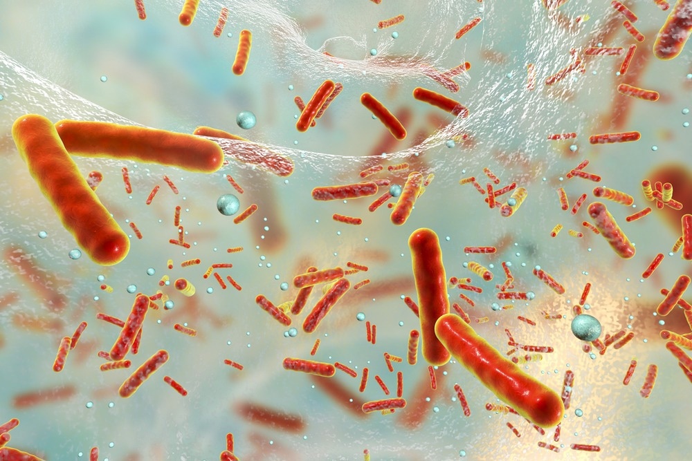 Antibiotic Resistance