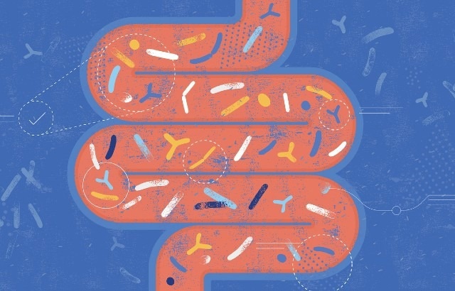 Tackling child undernutrition by targeting the gut microbiome
