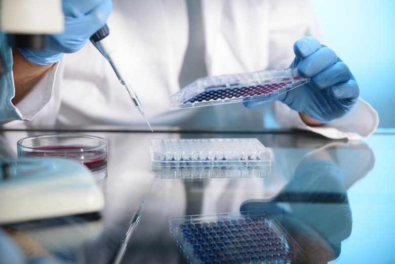 High diversity in T-cell receptor genes explains diverse response to infections