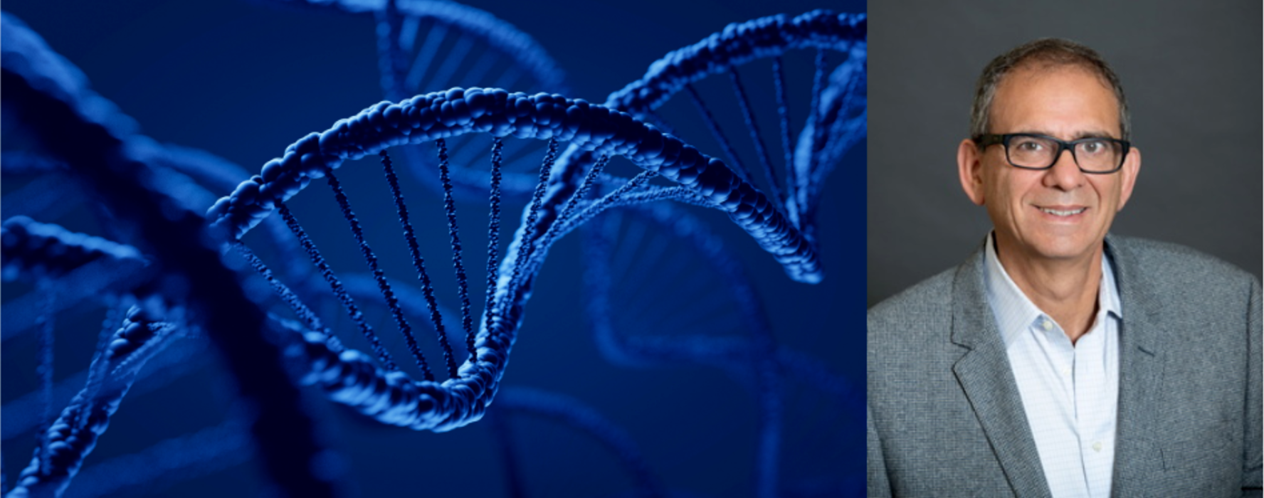 Locating genes involved in the metabolism and distribution of human fat