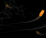 Tracking cell movement across time and space using AI