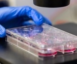Novel metabolic pathway that makes immunology more efficient revealed