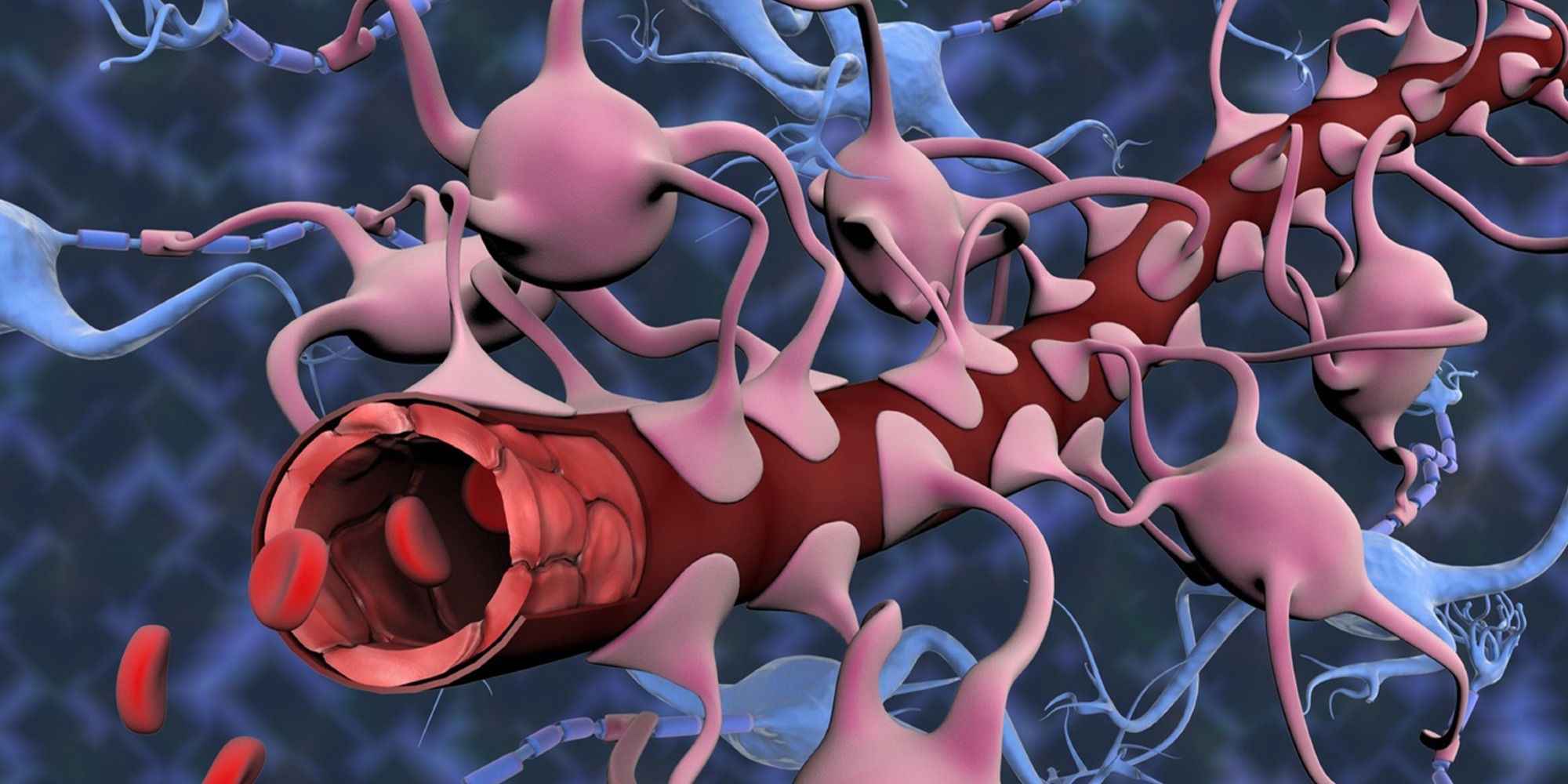 Realistic model explores new treatments for brain tumors