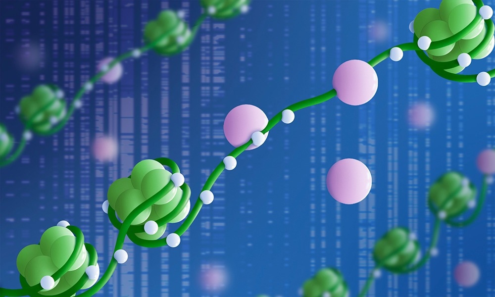 DNA methylation for precise gene expression regulation