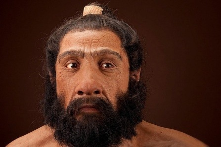 Genetic study emphasizes the significance of “balancing selection” in evolution