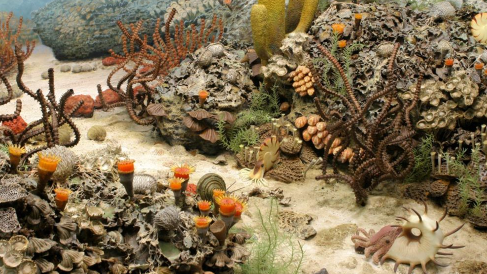 Biodiversity triggered the ecological collapse following the “great dying”