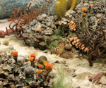 Biodiversity triggered the ecological collapse following the “great dying”