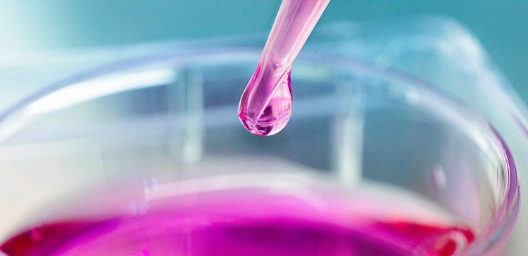 Novel protein complex plays a significant role in RNA protection