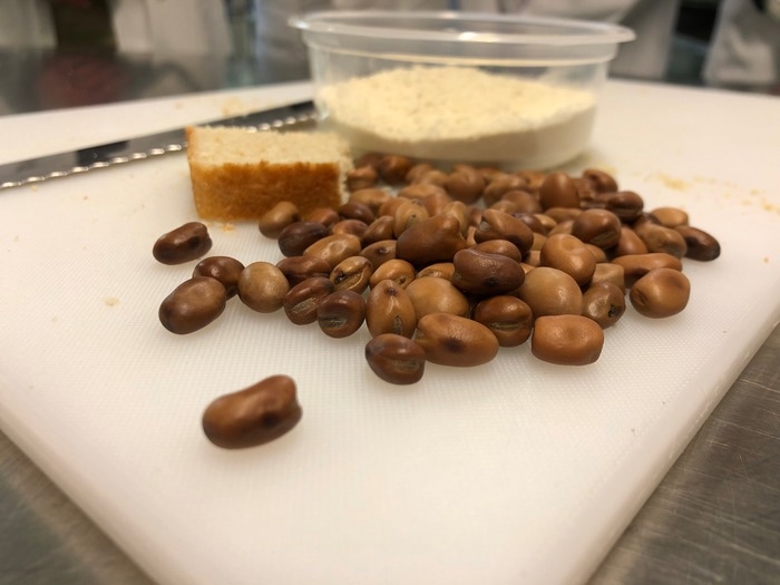 Bean genome sequencing to boost nutritional quality