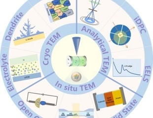 Merging cryo-TEM and tomography methods to reveal 3D morphology of dendrites