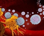 Highlighting a potential sex‐specific precision immunotherapy strategy
