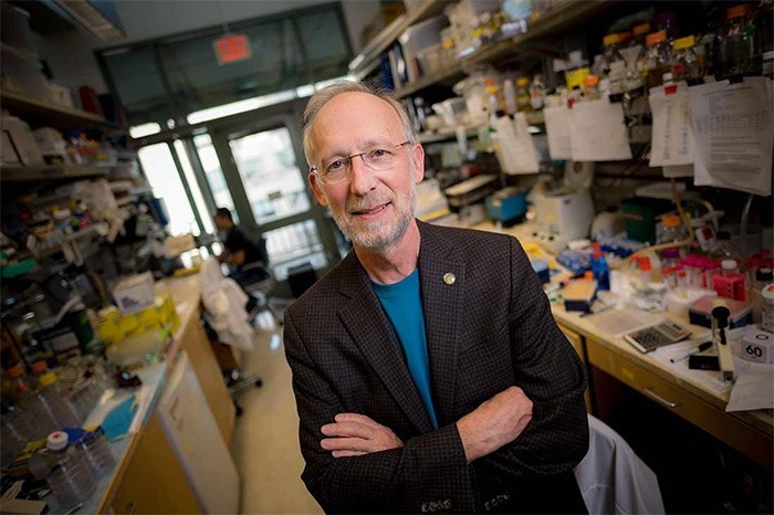 DNA drugs help restore the normal processing of protein-encoding RNA