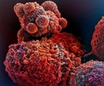 Novel tool analyzes how immune cells respond to SARS-CoV-2 vaccination