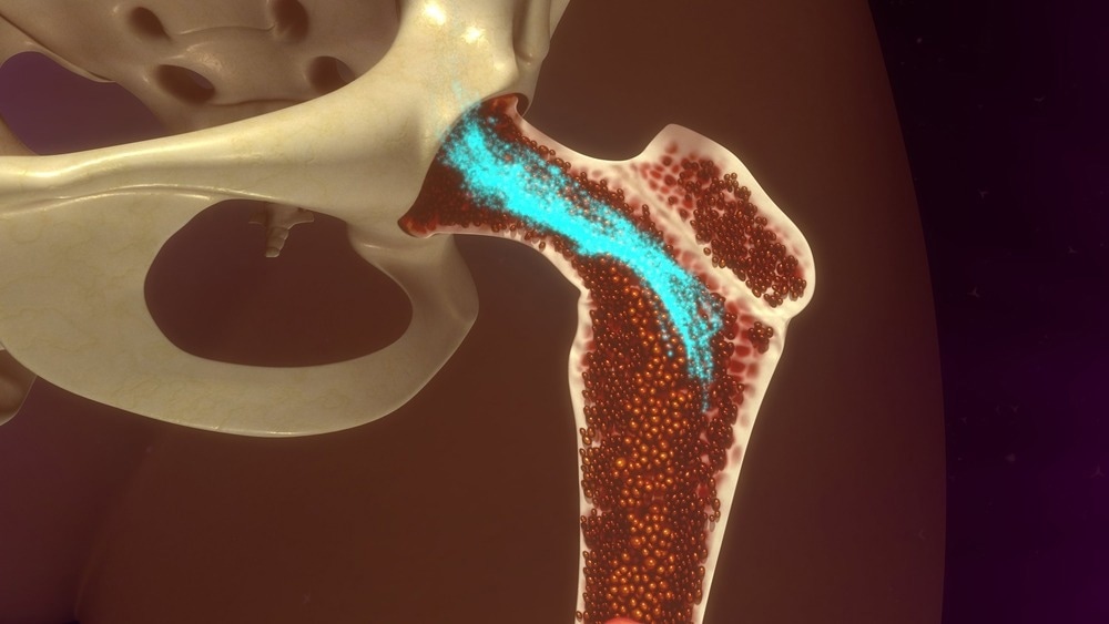 Bone Formation