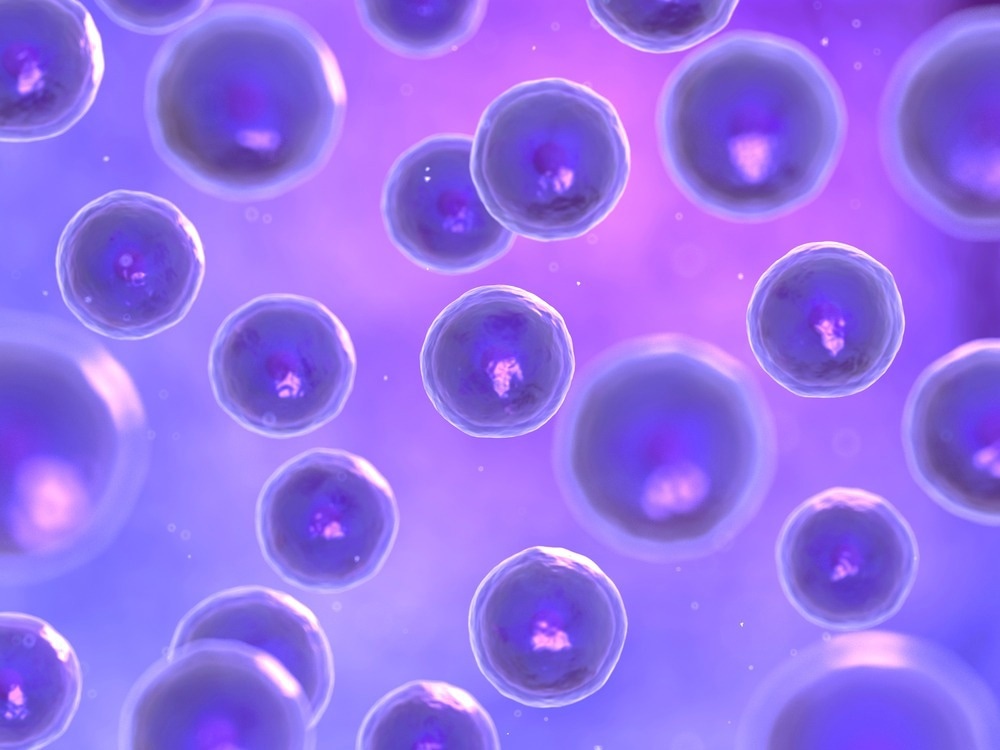 Cells