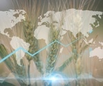 How specialized plant “train tracks” can be used to feed the expanding population