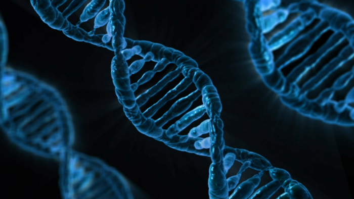 Brain scans link signs of cellular aging to symptoms of Alzheimer’s