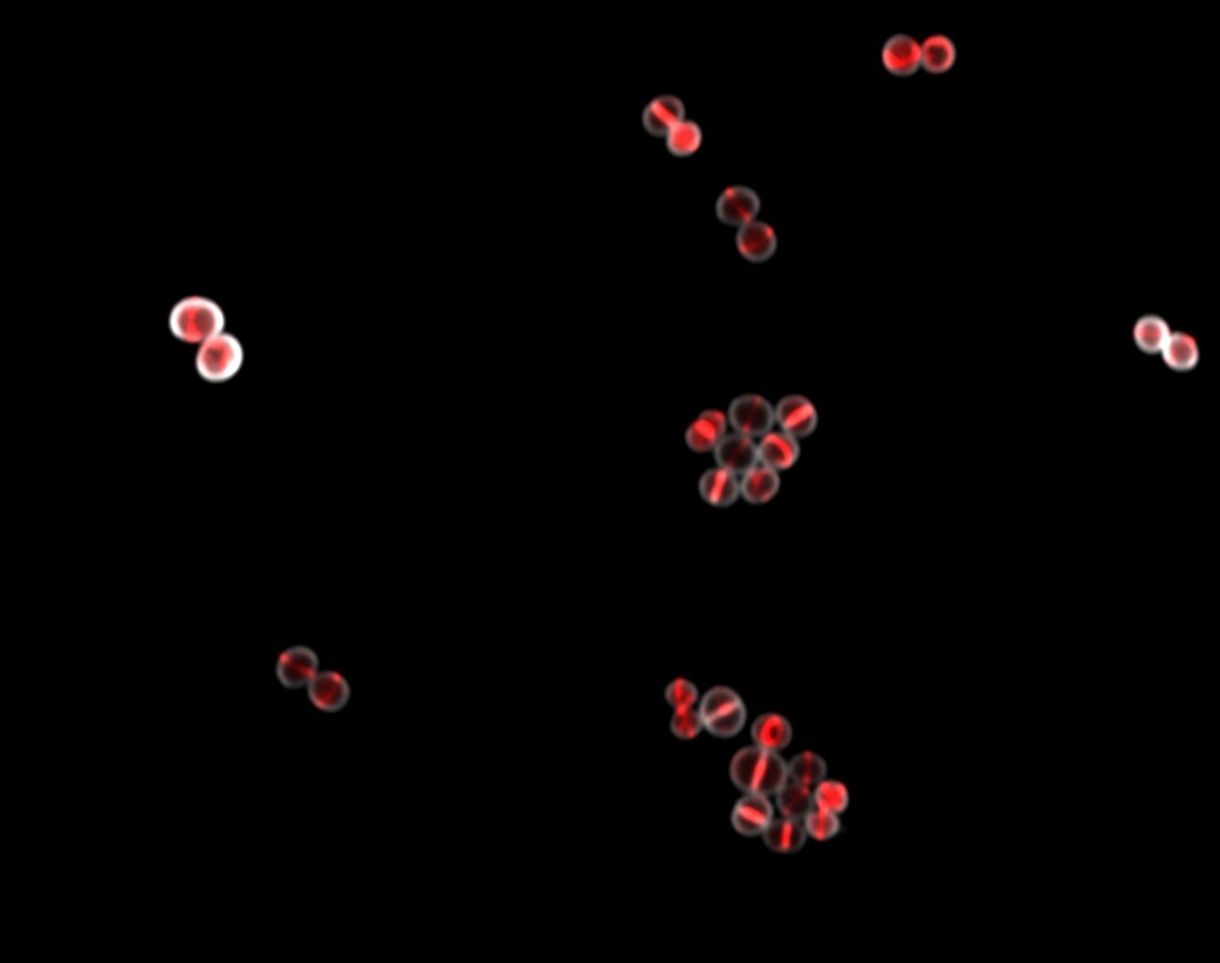 Understanding the cellular effects of antibiotics targeting cell wall biosynthesis