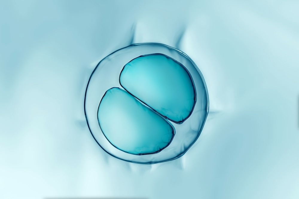 Cell Division
