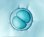 Newest variant of mScarlet3 to help track protein movements in living cells